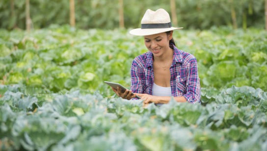 農業におけるデジタル技術活用の現状と課題