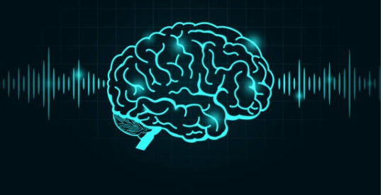 主な５つの脳波